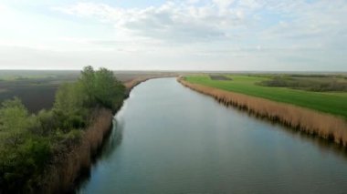 Sazlıklar ve yabani çalılar kırsalda Timis Nehri 'ni tarlalarla sınırlandırır
