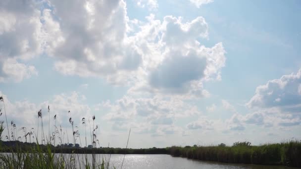 Mooie Witte Cumulus Wolken Blauwe Lucht Boven Meer Omgeven Door — Stockvideo