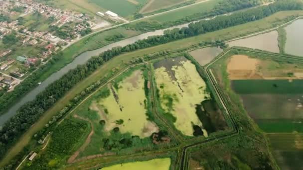 靠近河流和村庄的水生植物覆盖的大型池塘的空中景观 — 图库视频影像