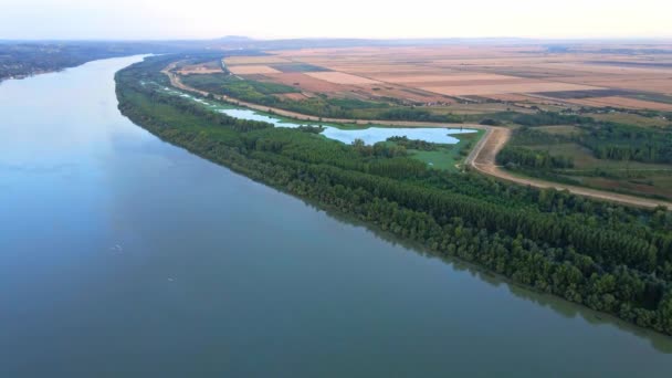 Вид Повітря Затоплене Поле Березі Річки Дунай Смедерево Сербія — стокове відео