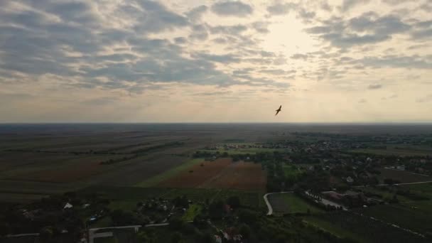 Luftaufnahmen Von Heiterer Landschaft Und Fluss Unter Wolkenverhangenem Himmel Bei — Stockvideo