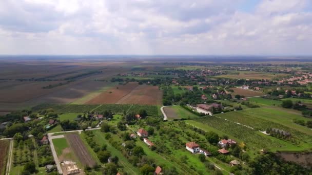 Vista Aérea Los Campos Agrícolas Desapareciendo Horizonte Días Nublados — Vídeos de Stock