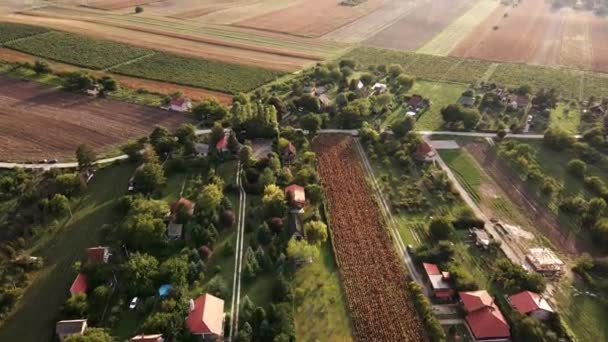 Bir Köyde Gün Batımının Insansız Hava Aracı Görüntüleri Sade Tarlalar — Stok video