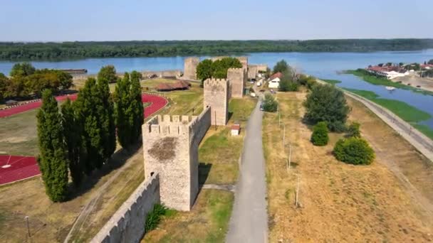 Drone Captura Pássaros Voando Redor Uma Parede Castelo Medieval Smederevo — Vídeo de Stock