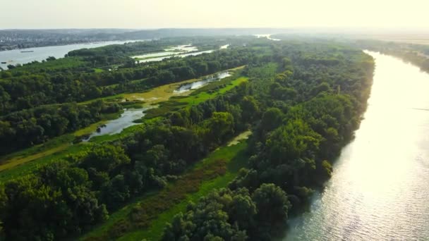 Drone Captura Bosques Verdejantes Ilha Rio Danúbio Smederevo — Vídeo de Stock
