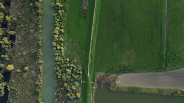 ドローンはテミス川の上を飛行し 春にセルビアでそれを囲む土地 — ストック動画