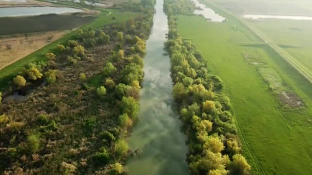 Sırbistan Timis Nehrinin Yüzeyinde Mavi Gökyüzünün Bulutların Yansıması — Stok video