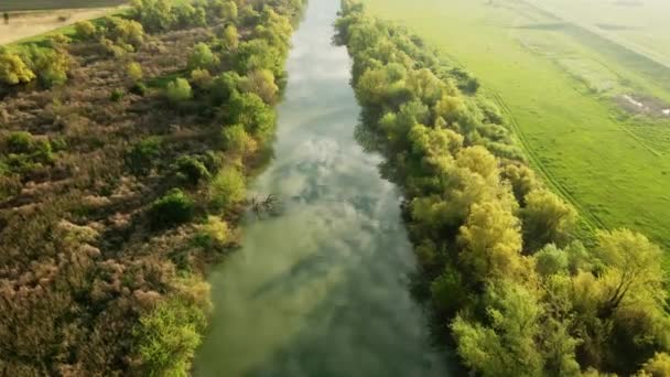 Blå Himmel Med Moln Som Reflekterar Yta Flod Timis Serbien — Stockvideo
