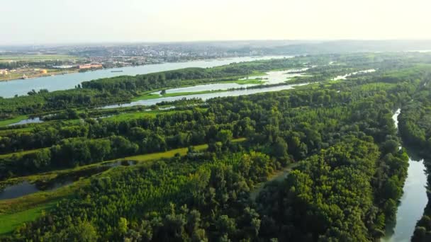 Вид Повітря Великий Річковий Острів Затоплений Покритий Деревами Дунаї — стокове відео