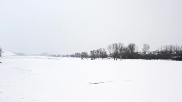 Dron Klouže Nedotčeném Sněhu Pokrývajícím Pláň Titel Srbsko — Stock video