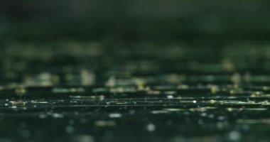 Tisza nehrinin yüzey görüntülerini kapatın. Üzerinden uzun kuyruklu mayıs sinekleri uçuyor.