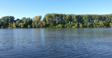 Yeşil ormanlarla çevrili Tisza nehrinin mavi akan suları.