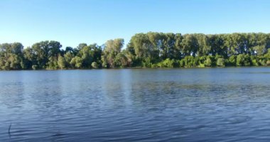 Yeşil ormanlarla çevrili Tisza nehrinin mavi akan suları.