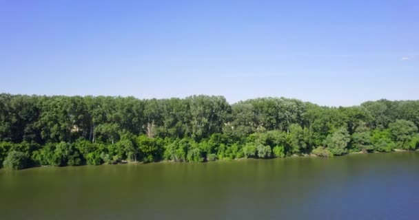Drone Voa Captura Rio Tisza Árvores Verdes Campo Liso Sérvia — Vídeo de Stock