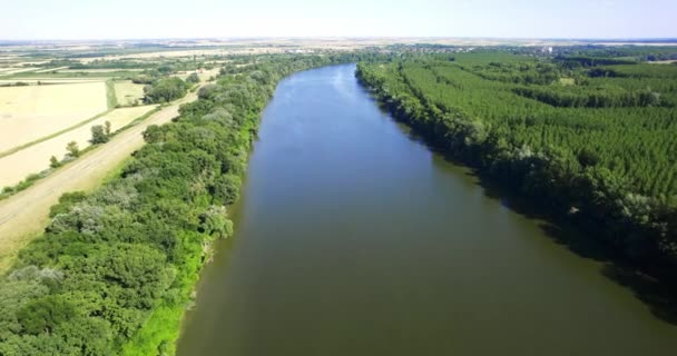 Gröna Lövverk Träd Och Buskar Sidorna Floden Tisza Serbien Flygfoto — Stockvideo