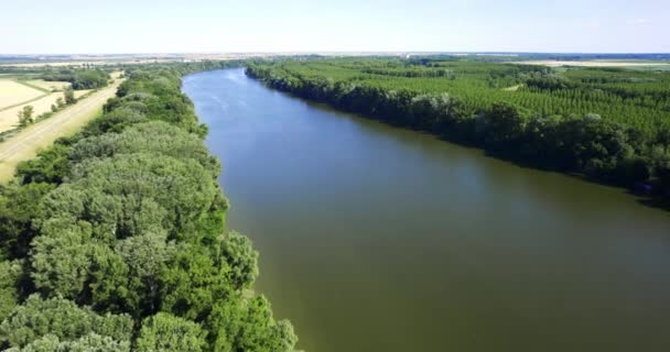 塞尔维亚Tisza河两岸树木和灌木丛的绿叶 空中景观 — 图库视频影像