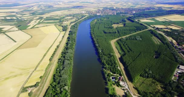 セルビアの緑の木に囲まれた美しいティッツァ川の空中ビュー — ストック動画