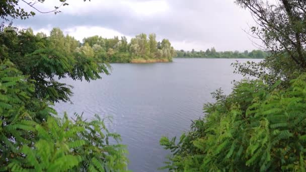 Hermosas Imágenes Naturaleza Lago Rodeado Exuberantes Árboles Verdes — Vídeos de Stock