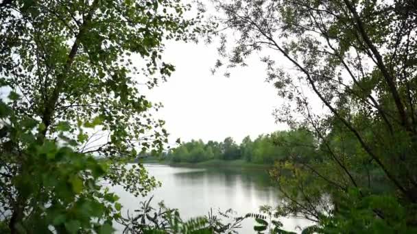 Belas Imagens Natureza Lago Rodeado Árvores Verdes Exuberantes — Vídeo de Stock