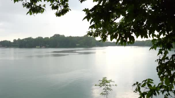 Día Lluvioso Lago Verano Árbol Verde Una Orilla Del Lago — Vídeos de Stock