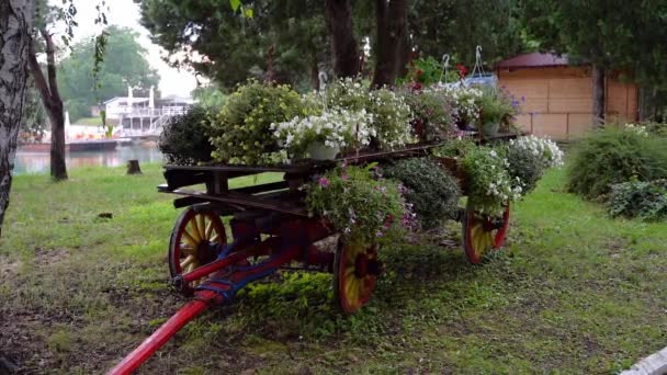 Chariot Serbe Vintage Plein Fleurs Près Lac Bela Crkva — Video