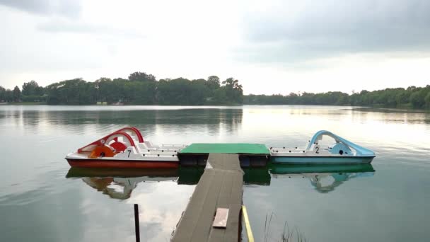 Blaue Und Rote Tretboote Einem Grünen Steg Auf Einem See — Stockvideo
