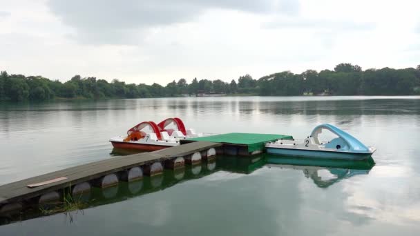 Barcos Pedais Azuis Vermelhos Amarrados Cais Verde Lago Bela Crkva — Vídeo de Stock