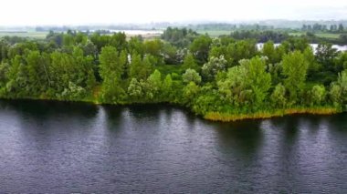 Drone, rüzgarda dalgalanan gölün kıyısındaki uzun yeşil ağaçları yakalar.