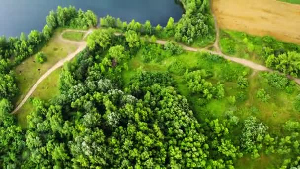 Belas Árvores Verdes Vibrantes Crescendo Uma Margem Lago Bela Crkva — Vídeo de Stock