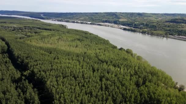 多瑙河畔郁郁葱葱的绿林的空中录像 — 图库视频影像