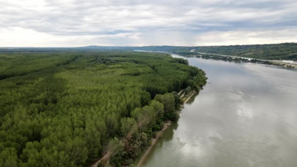 Drone Filmleri Sırbistan Tuna Nehrinin Yanındaki Yeşil Ormanı Yemledi — Stok video