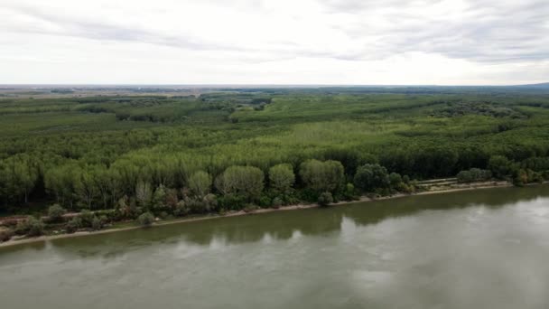 セルビアのダヌーブ川に隣接する緑豊かな森の航空景色 — ストック動画