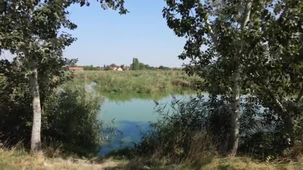 Drone Voa Uma Costa Direção Juncos Lago Krvavo Jezero Subotica — Vídeo de Stock