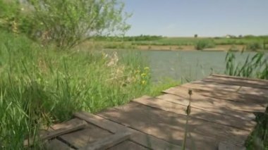 Moharac gölündeki tahta sal yeşil sazlıklar ve kır çiçekleriyle çevrili.