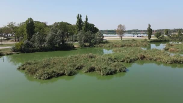 Sırbistan Subotica Kentinde Iki Gölü Ayıran Yeşil Ağaçlar Bir Yol — Stok video