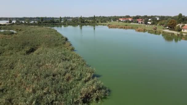 Drone Sırbistan Daki Bir Gölün Üzerinde Sazlıklarla Uçarak Subotica Kasabasını — Stok video