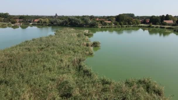 Drone Vole Dessus Lac Avec Roseaux Capture Ville Subotica Serbie — Video