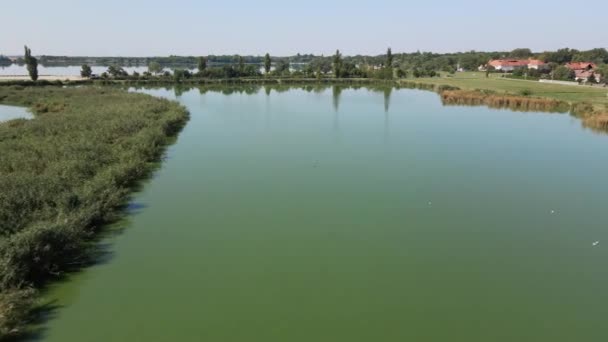 Sırbistan Subotica Kentinde Iki Gölü Ayıran Yeşil Ağaçlar Bir Yol — Stok video