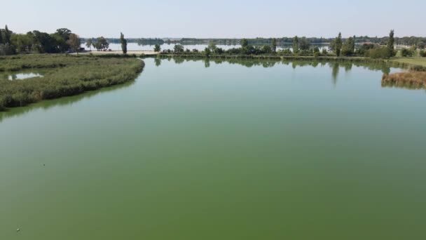 緑の木とセルビアのサボティカで2つの湖を分ける道路 — ストック動画