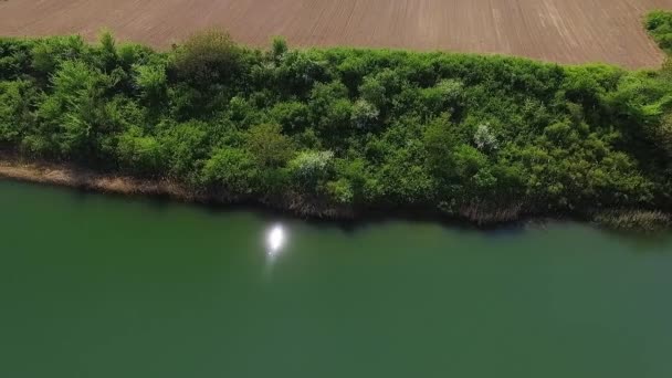 Беспилотник Пролетает Над Озером Меджес Захватывает Солнечный Свет Зеленые Кусты — стоковое видео