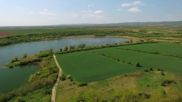 セルビアのメディセ湖の息をのむような映像は栽培された畑で囲まれています — ストック動画