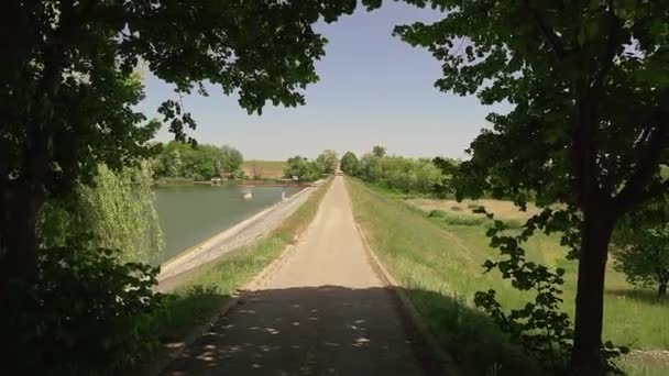 Prázdná Stezka Stínu Stromů Jezera Moharac Srbsku — Stock video