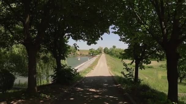 Stezka Stínu Stromů Jezera Moharac Srbsku — Stock video