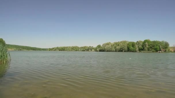 Rippling Air Dari Moharac Danau Serbia Dikelilingi Dengan Pohon Hijau — Stok Video