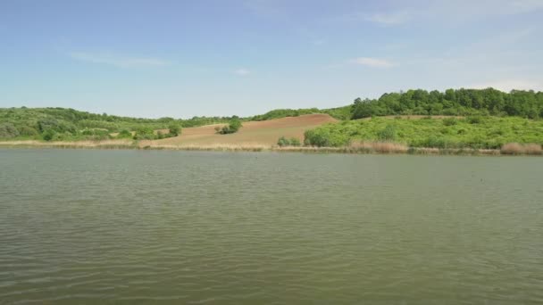 Vlnící Voda Jezera Moharac Srbsku Obklopená Zelenými Stromy Rákosím — Stock video