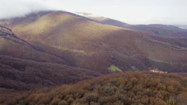 Δασώδες Βουνό Ρούντνικ Στη Σερβία Φαίνεται Από Τον Αέρα — Αρχείο Βίντεο