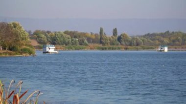 Sırbistan 'da Borkovac Gölü' nde yüzen turistik kulübeler