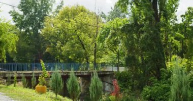 Parktaki yemyeşil bitkiler Topcider nehir üzerindeki bir köprüyü çevreledi