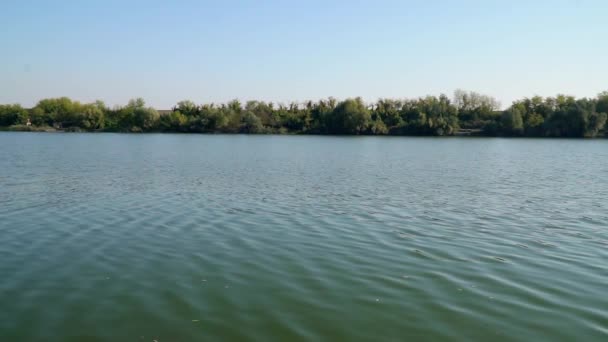 Красиві Кадри Потоку Води Озера Борковац Сербії Літній Час — стокове відео