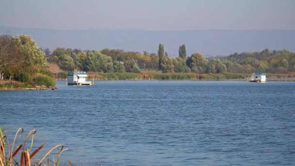 Cabanas Flutuantes Turísticas Lago Borkovac Sérvia — Vídeo de Stock